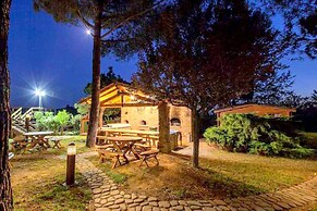 Comfortable Cottages in Loro Ciuffenna