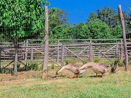 Comfortable Cottages in Loro Ciuffenna