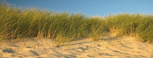 Design Apartment in Zeeland With its own Wellness