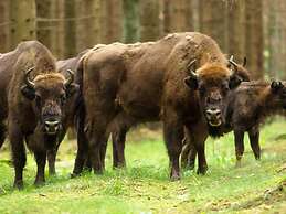 2 Person Holiday Home in Aakirkeby