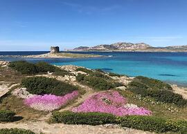 Holiday Home Close to the Beautiful Beaches in World