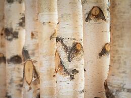 Lush Apartment in Sankt Michael ob Bleiburg