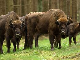 4 Person Holiday Home in Ronne