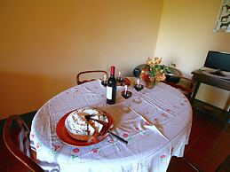 Modern Farmhouse in Pienza With Pool