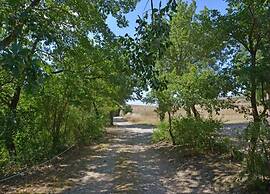 Modern Farmhouse in Pienza With Pool