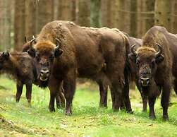 2 Person Holiday Home in Aakirkeby