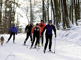 Chic Apartment in Stormbruch Near Ski Area