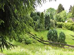 Comely Holiday Home in Guntersberge Near Forest