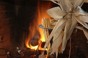 Agriturismo Near Cortona With Swimming Pool
