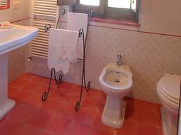 Agriturismo Near Cortona With Swimming Pool