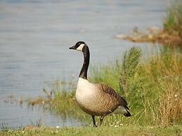 Completely Detached Bungalow in a Nature-filled Park by a Large fen