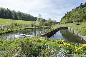 Alluring Apartment in Schonsee in the Forest