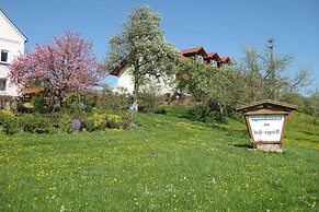 Comfortable Apartments in Rotthalmunster