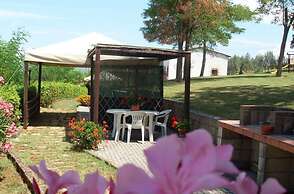 Lavish Holiday Home in Volterra With Pool