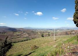 Modern Holiday Home in Monte Santa Maria Tiberina