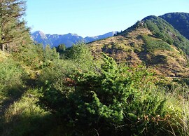 Modern Holiday Home in Monte Santa Maria Tiberina