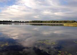 Modern Bungalow in Warnkenhagen Near Wellness