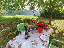 Apartment in a Farmhouse With Swimming Pool