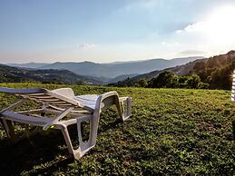Apartment in a Farmhouse With Swimming Pool