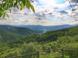 Apartment in a Farmhouse With Swimming Pool