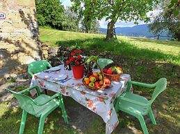 Apartment in a Farmhouse With Swimming Pool
