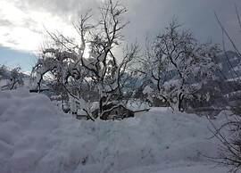 Spacious Apartment in Uderns Near Ski Area