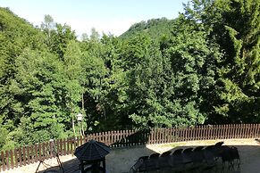 Rustic Apartment With Garden in Bad Harzburg Germany