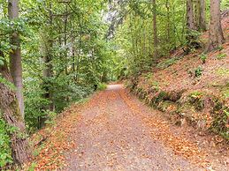 Rustic Apartment With Garden in Bad Harzburg Germany