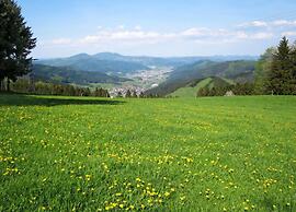 Spacious Apartment Near Forest in Bad Durrheim