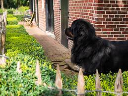Cozy Apartment in Enschede Near Forest