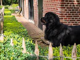 Cozy Apartment in Enschede Near Forest