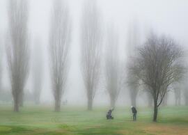 Modern Holiday Home in Foiano Della Chiana With Pool