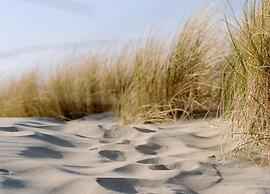 Luxury Apartment in Renesse With Infrared Sauna
