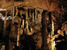 Bright Apartment in Thale With Terrace