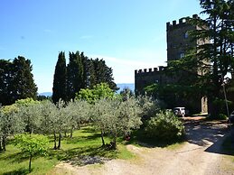 Lovely Estate not far From Florence With Olives Trees