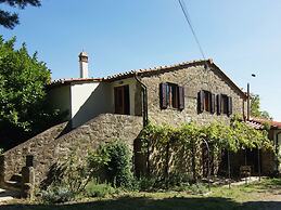 Lovely Estate not far From Florence With Olives Trees