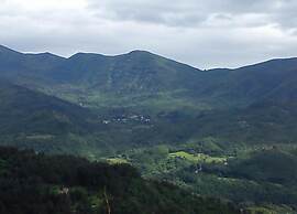 Lovely Estate not far From Florence With Olives Trees