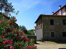 Lovely Estate not far From Florence With Olives Trees