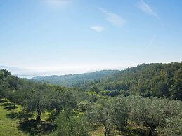 Lovely Estate not far From Florence With Olives Trees