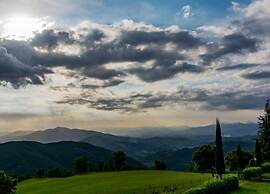 Lovely Estate not far From Florence With Olives Trees