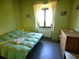 Lovely Estate not far From Florence With Olives Trees