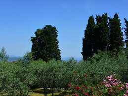Lovely Estate not far From Florence With Olives Trees
