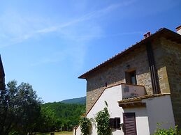 Lovely Estate not far From Florence With Olives Trees