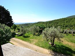 Lovely Estate not far From Florence With Olives Trees