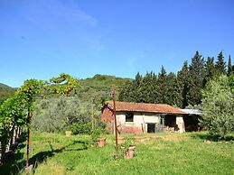 Lovely Estate not far From Florence With Olives Trees