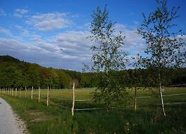 Detached Holiday Home in an Idyllic Quiet Location