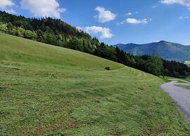 Scenic Apartment in Krispl Salzburg With Swimming Pool