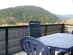 Spacious Holiday Home in Wildemann With Garden