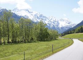 Spacious Apartment Near Ski Area in Mittersill