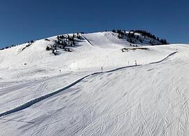 Spacious Apartment Near Ski Area in Mittersill